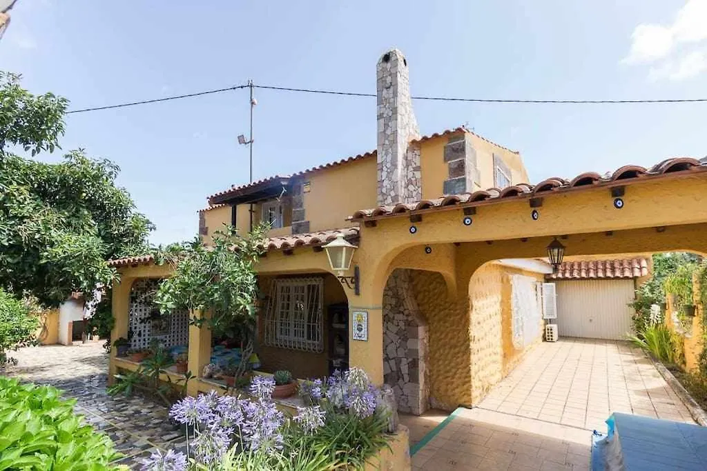 Villa Ojuelos Gran Canaria Vega de San Mateo Holiday home